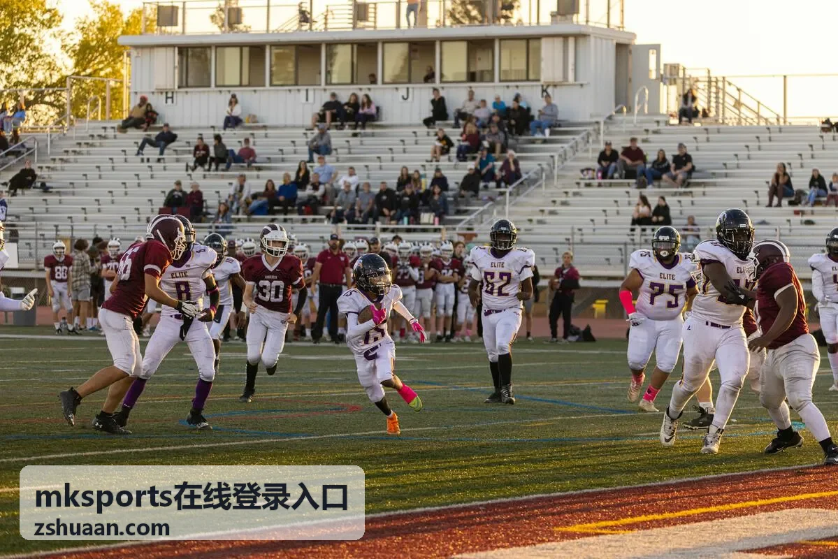 mksports在线登录入口夜间高峰时段通道状态